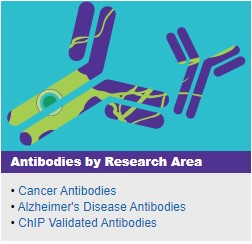 Antibodies by research area